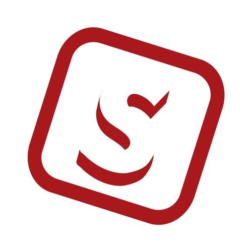 Логотип STEK Lviv