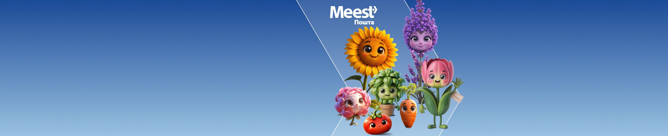 Meest test2- banner 10