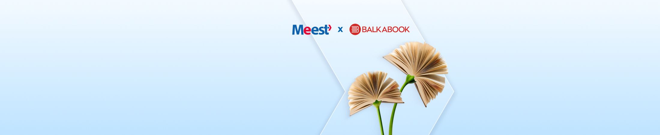 Meest test2- banner 9