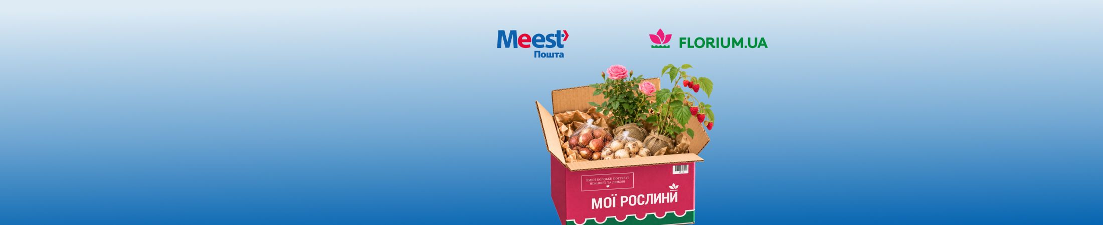 Meest test2- banner 9