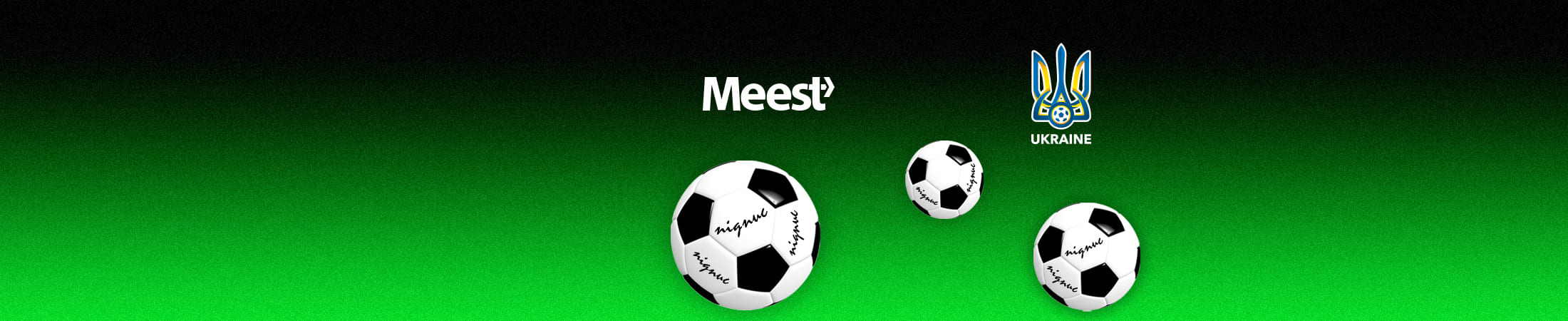 Meest - banner 2